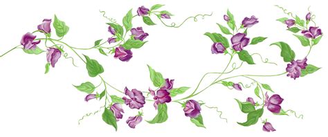 Flower Vine Png Clip Art Library