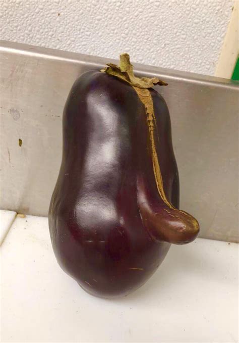 Eggplantception Meme Guy