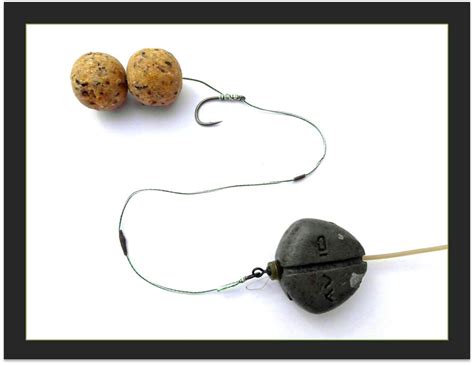 It is the most common genetic disease in whites. Matt's universal bottom bait inline carp rig: how & why it ...