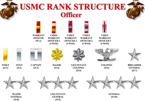 Officer Rank Structure Usmc Guide