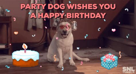 Free beautiful happy birthday dog images free meme for facebook to share birthday dog gif images. Happy Birthday GIF - Find & Share on GIPHY