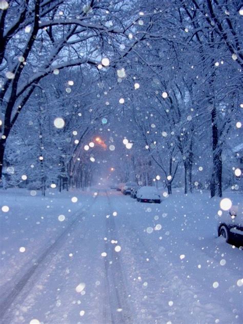 Peaceful Snow In Winnipeg Manitoba Canada Scenery