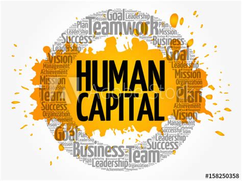 Human Capital Types Models Elements Importance And Evaluate
