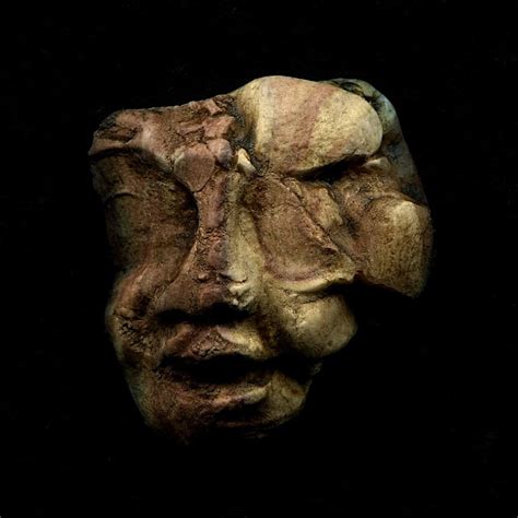 We did not find results for: Hidden Missives: Denisovan Reconstruction C
