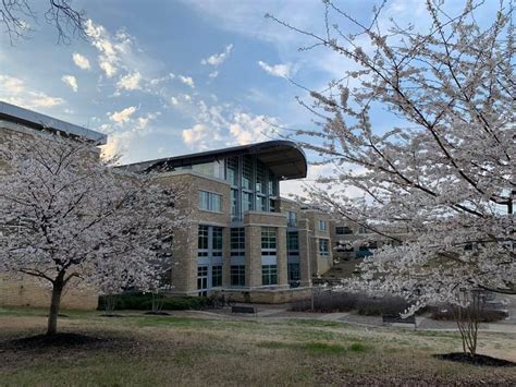 Arkansas State University Main Campus Abound Finish College