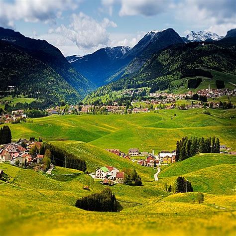 asiago the meadows of the plateau of asiago in spring are full of flowers tarasso that