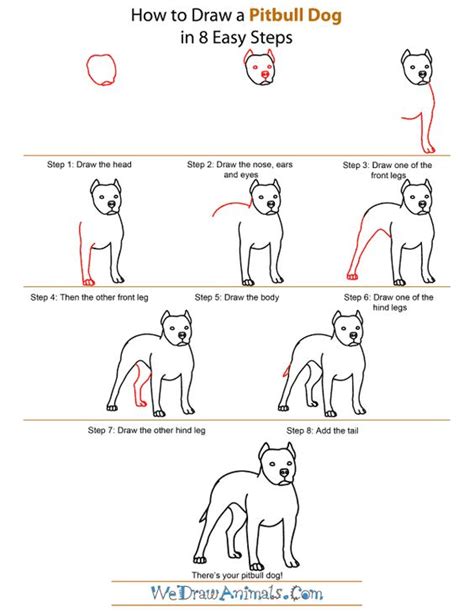 How To Draw A Pitbull Dog Step By Steppng 600×776 Crafts