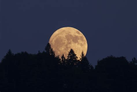 Aber was hat der vollmond, den wir am heute nacht am himmel sehen werden, mit blumen und sogar mit blut zu tun? Wann Ist Vollmond / Another Wallpaper Stories: Wann Geht ...