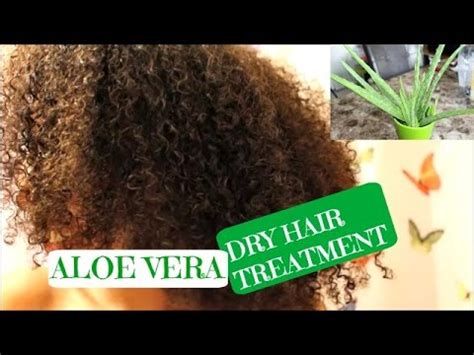 Proper hydration is a must for healthy hair and a skin barrier. NATURAL HAIR| ALOE Vera Deep Conditioning Treatment for ...