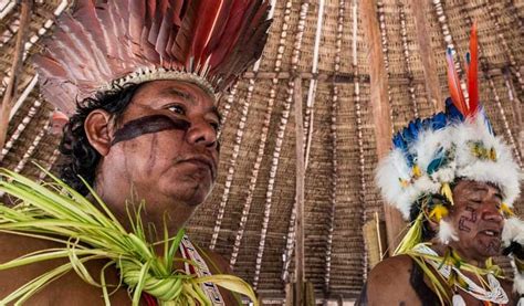 8100 Square Mile Indigenous Reserve Recognized In Brazilian Amazon