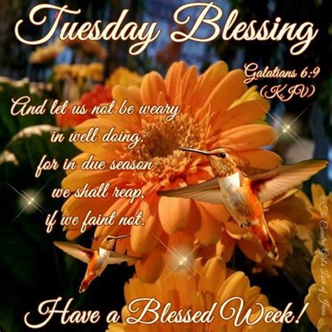 Have a blessed week sister. Tuesday Blessing, Have A Blessed Week! Pictures, Photos ...