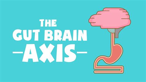 Human Science Part 1 The Gut Brain Axis Microbiome And The Power Of
