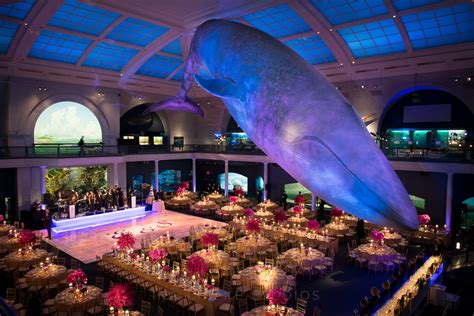 Wedding Venues Unexpected Places You Can Get Married