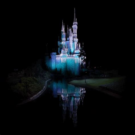 Magical Disney World S