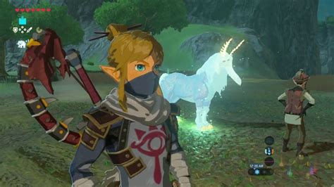 Zelda Lord Of The Mountain - Pegando o Senhor da Montanha - Zelda: Breath of the Wild - YouTube