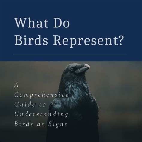 How To Read Birds As Omens And Signs Exemplore