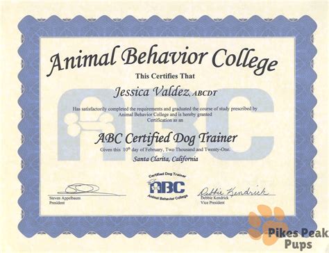 Certified Dog Trainer In Colorado Springs