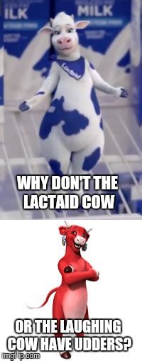 Image Tagged In Memeslactaidlaughing Cow Imgflip