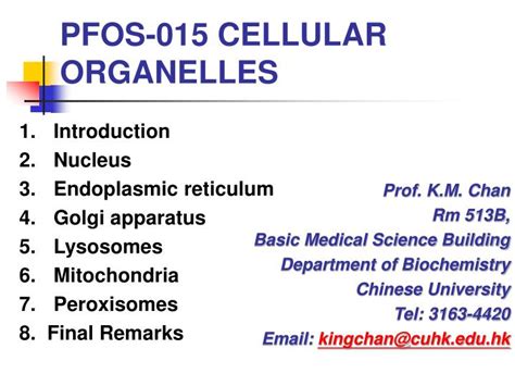 Ppt Pfos 015 Cellular Organelles Powerpoint Presentation Free