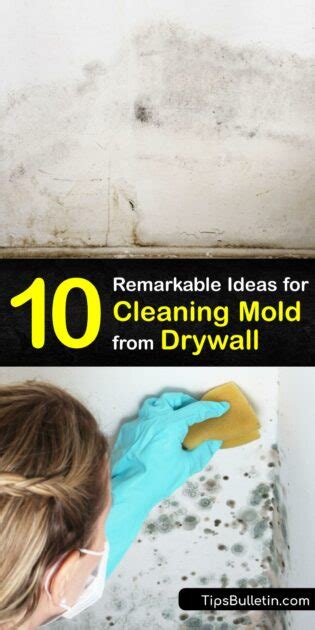 Eliminate Drywall Mold Guide To Remove Mildew From Drywall Diy Mold