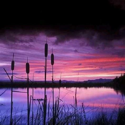 Purple And Pink Lake Nature Photography Pink Lake Nature