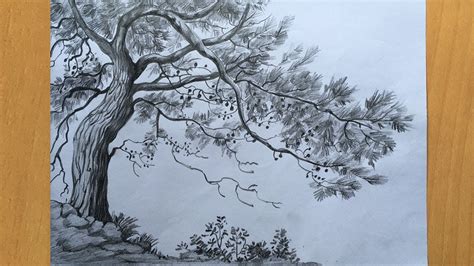 How To Draw Trees With Pencil Shading Maikensmat