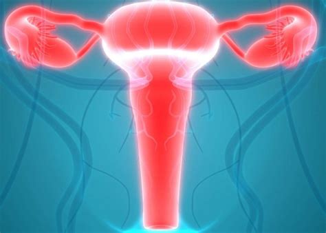 Swollen Cervix Causes Symptoms And Treatment Fastlyheal