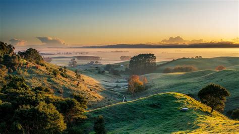 Sociolatte Hauraki Plains At Sunrise New Zealand