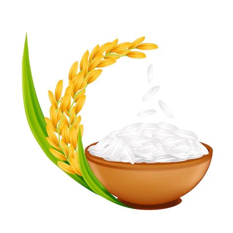 Premium Vector Rice Realistic Illustration