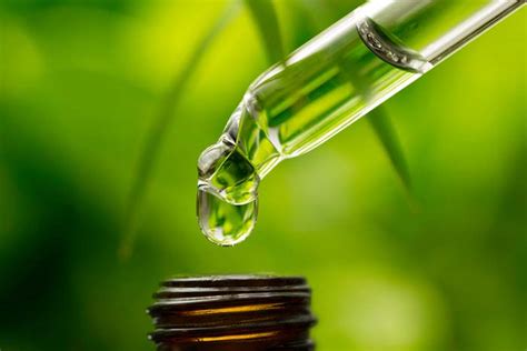 Why Use Essential Oils Spark Naturals Blog