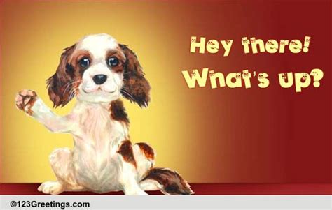 Whats Up Free Hi Hello Ecards Greeting Cards 123 Greetings