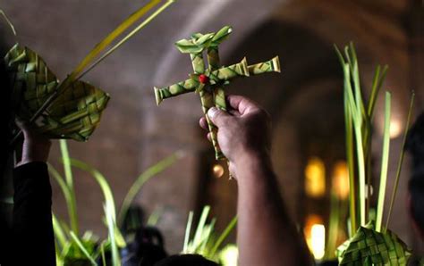 Palm Sunday Fronds Churches Should Buy Palms From Environmentally