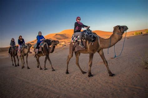 Bucket List Ride A Camel In The Sahara Desert Travel Guides