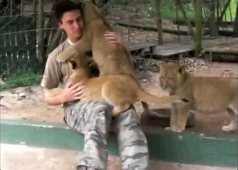 Man Attacked By Rare Hugging Lions [video]