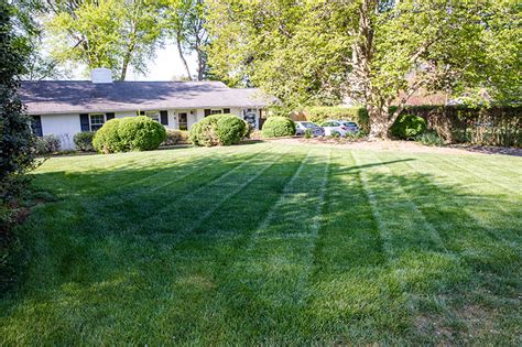 Professional Lawn Care In Warrenton Lawn Care Gainesville Va