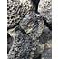 Rough Rock  Lava Black Natural Stone 500 Grams
