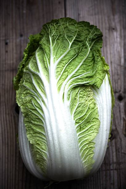 133 Wombok Cabbage Stock Photos Pictures And Royalty Free Images