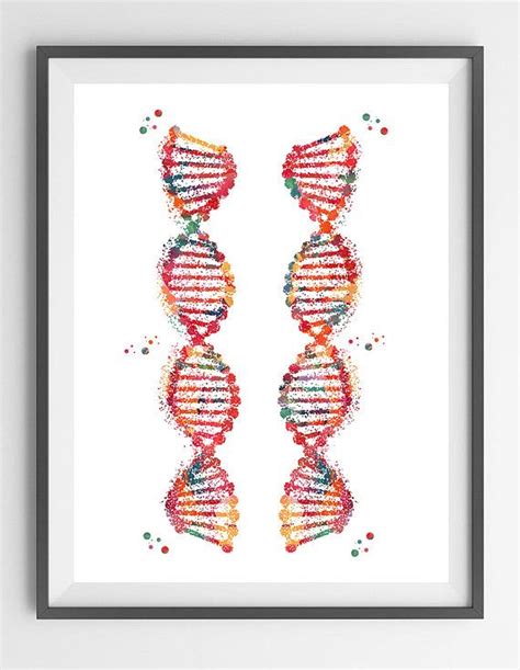 Dna Double Helix Watercolor Poster Dna Art Print Science Art Science