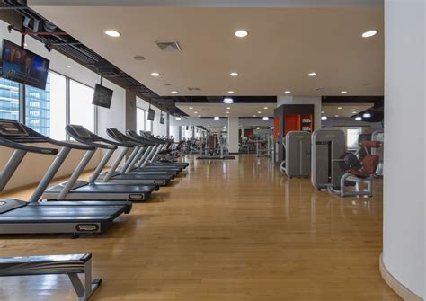 Stay Fit At Our Gym Gym Stay Fit Gym Equipment