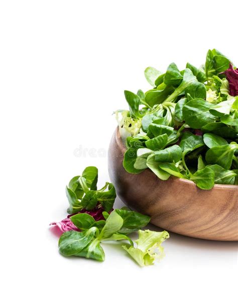 Mixed Salad Leaves In Wooden Bowl Isolated On White Stock Image Image
