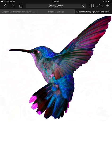 26 Best Hummingbird Outline Beading Images On Pinterest