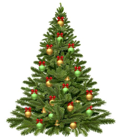 Christmas Tree Png