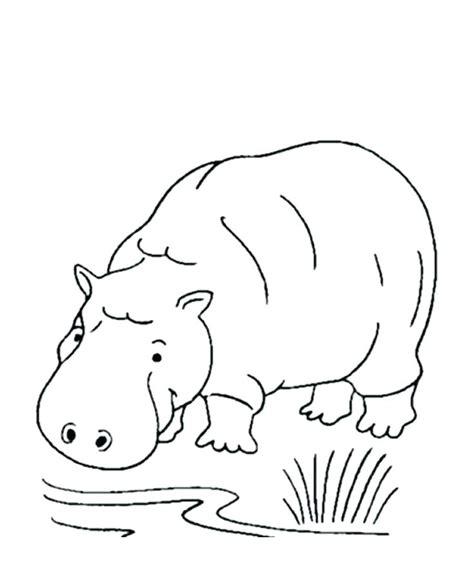 Free Wild Animal Coloring Pages At Free
