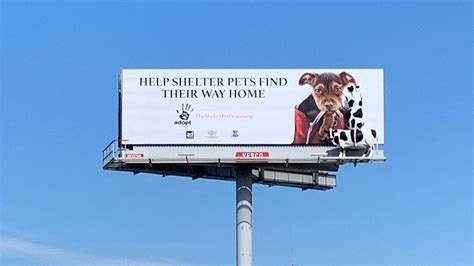 Billboard Mistake Chick Fil A Cows Stay After Sign Next To I 15 Is Changed