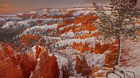 Winter Im Bryce Canyon National Park Utah Usa Bing Fotos