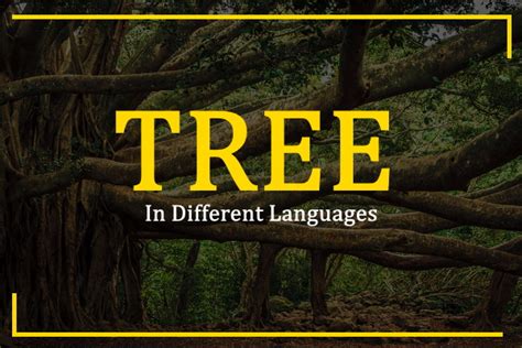 How To Say Tree In Different Languages 100 Ways