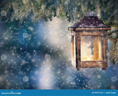 Christmas Lantern Hanging On Fir Branches Stock Photo Image Of Branch