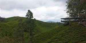 Trip.com has compiled the top boh sungai palas tea factory posts on trip moments to help you enjoy travel photography even more. Einfach "Ummph!": Die Cameron Highlands und ihre Teeplantagen