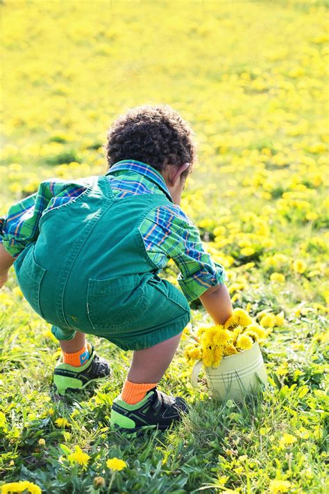 Free Images Nature Grass Person Field Lawn Meadow Play Leaf