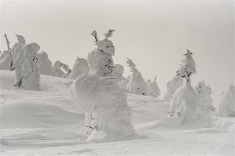 Juhyo The Snow Monsters Of Mount Zao Amusing Planet